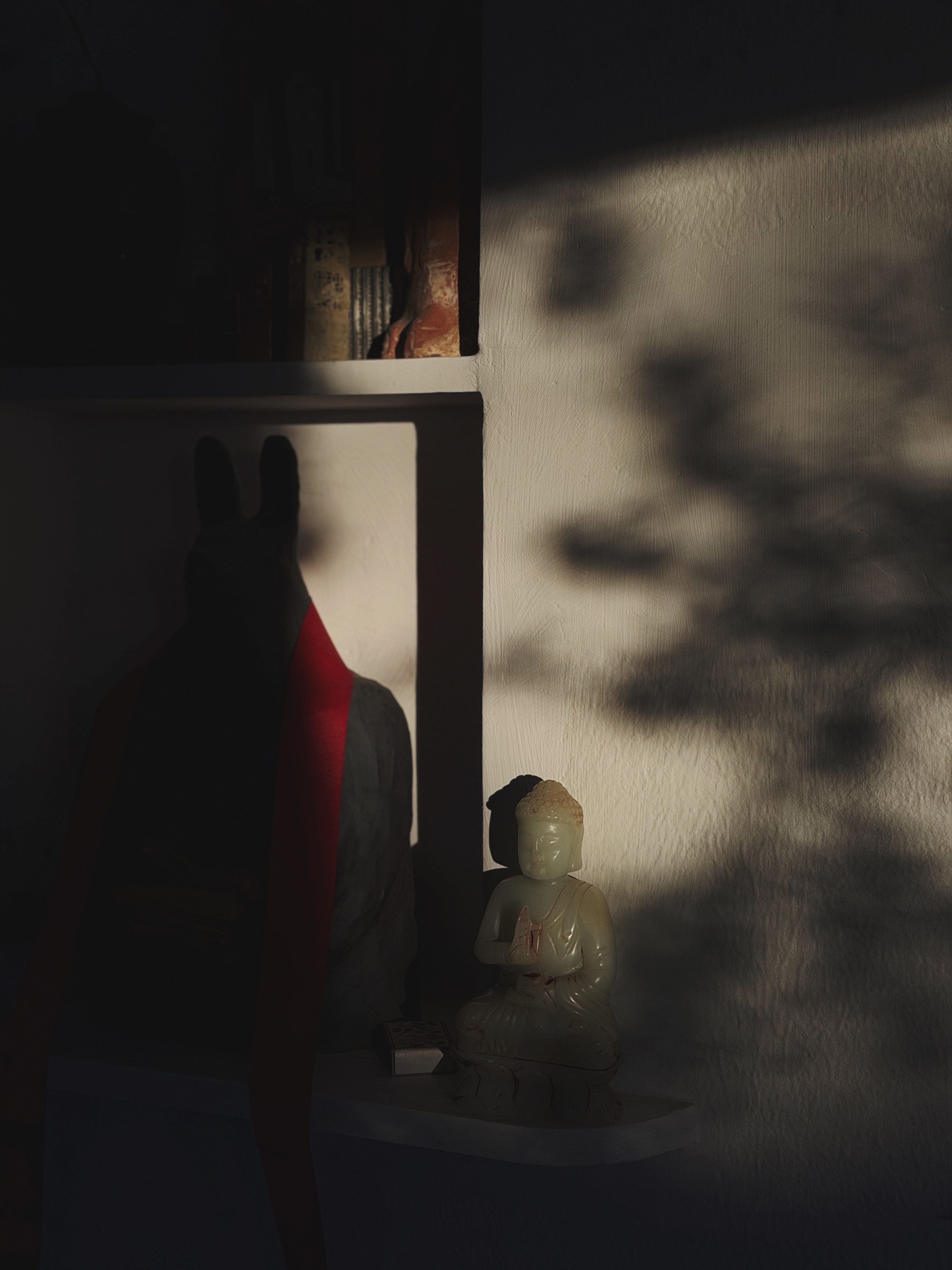 Buddha in light and shadow