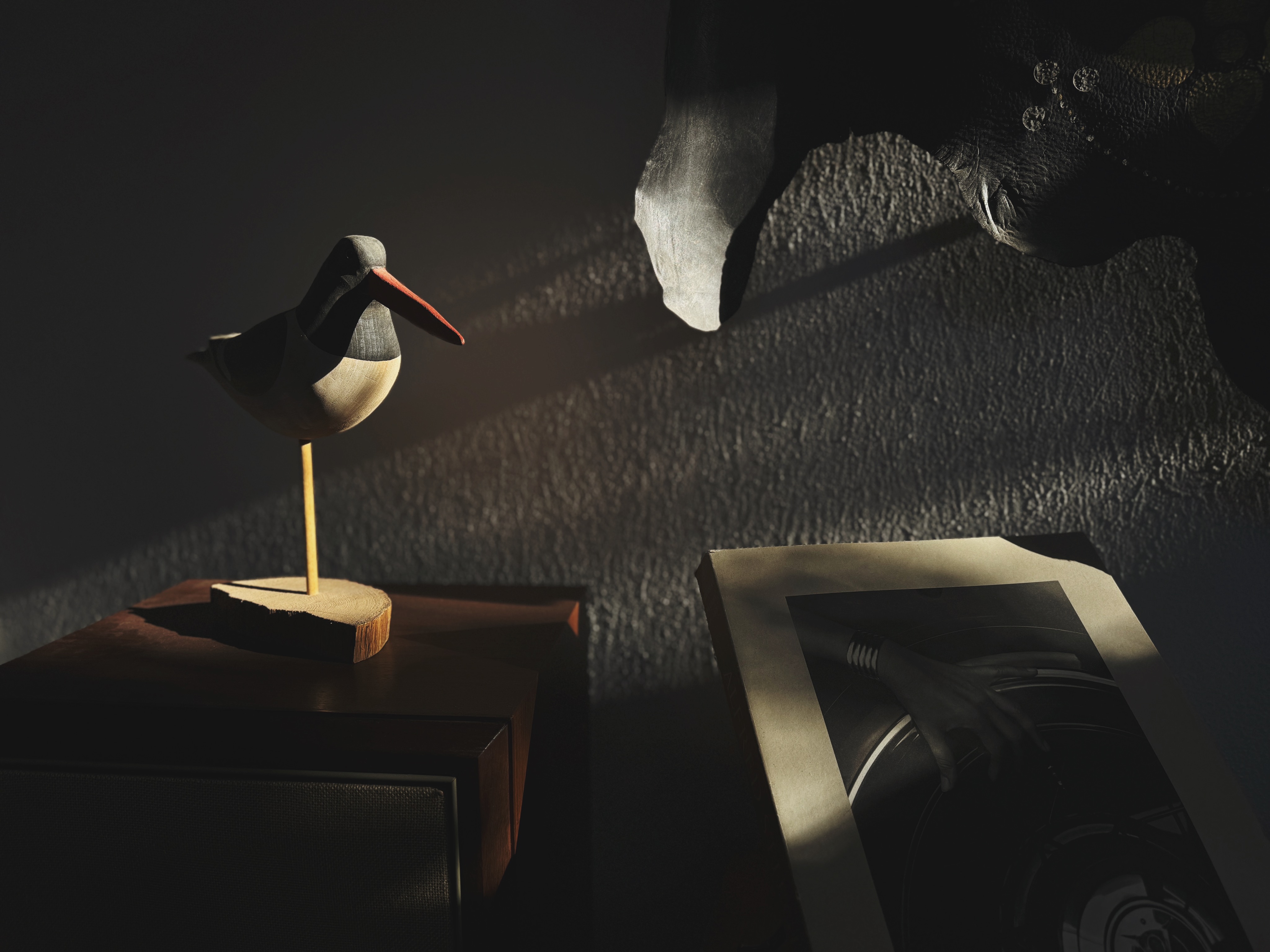 Carved wooden bird with shadow