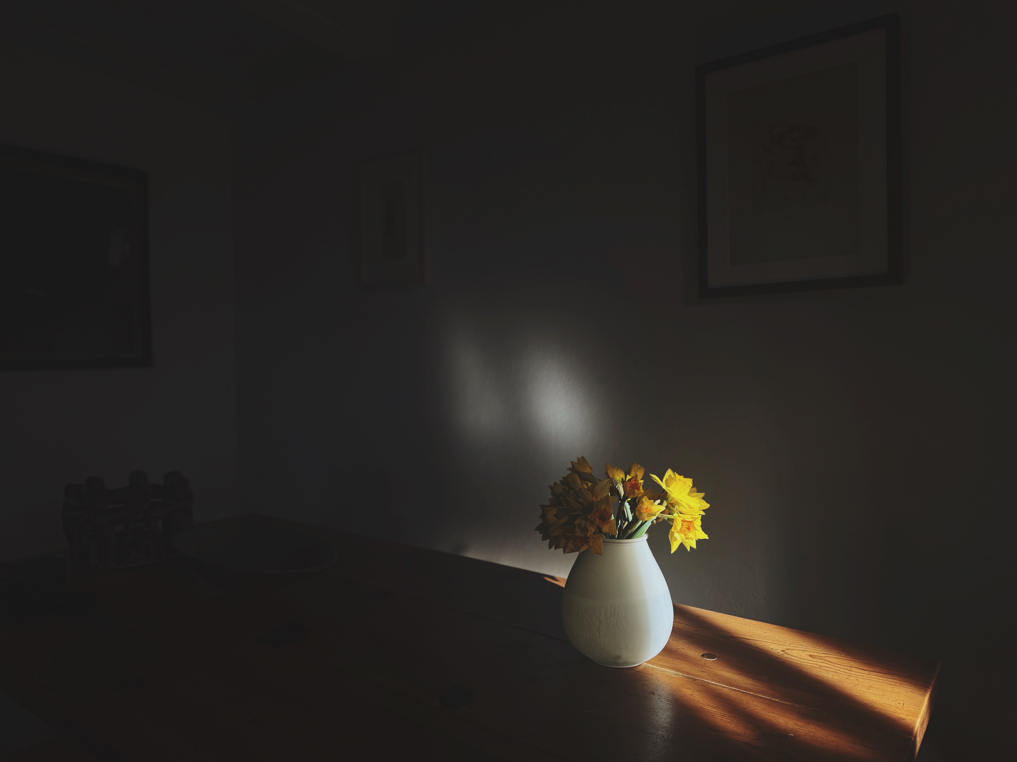 Daffodils in white vase on dark table