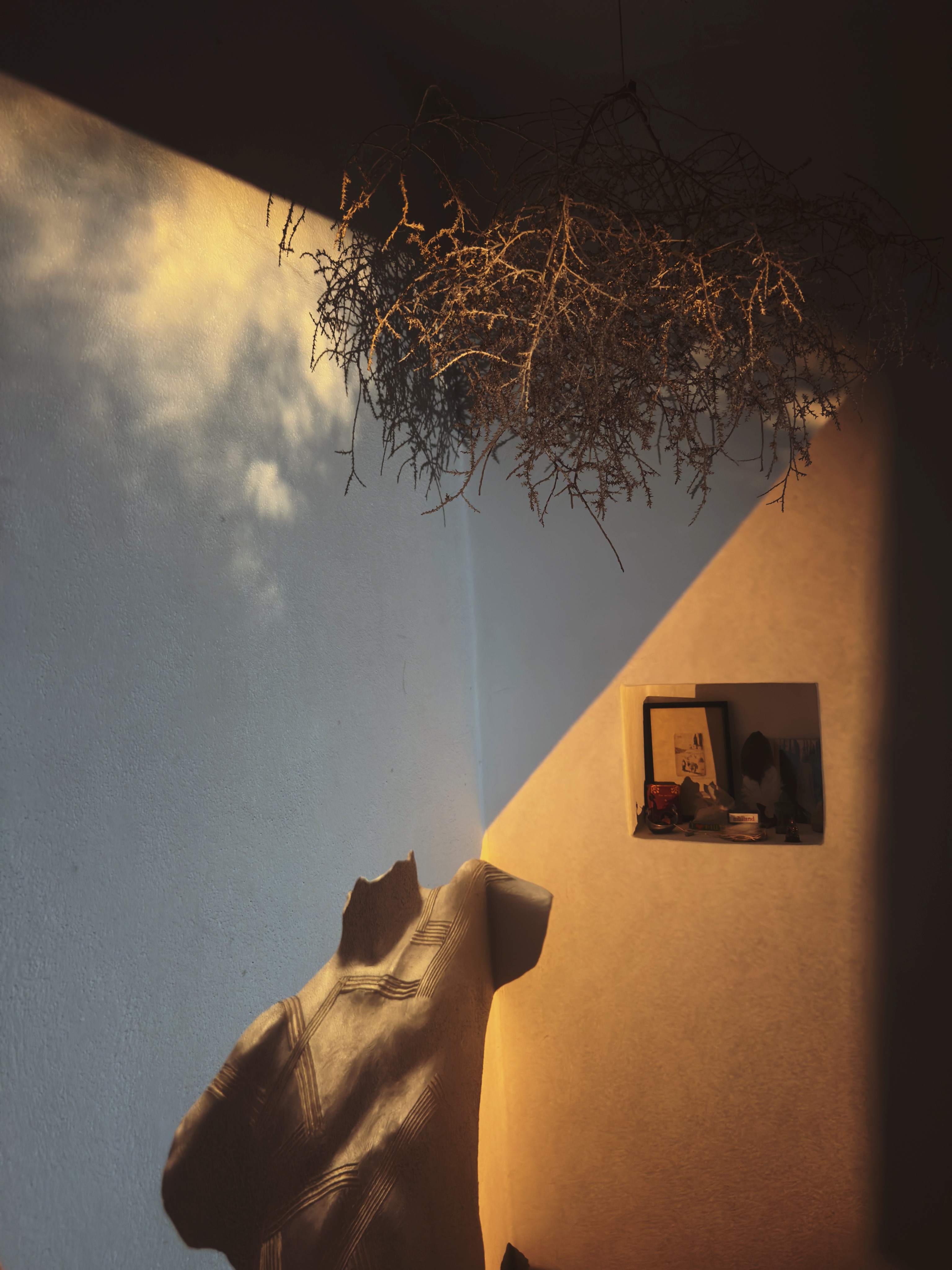 Dried branches and ceramic torso