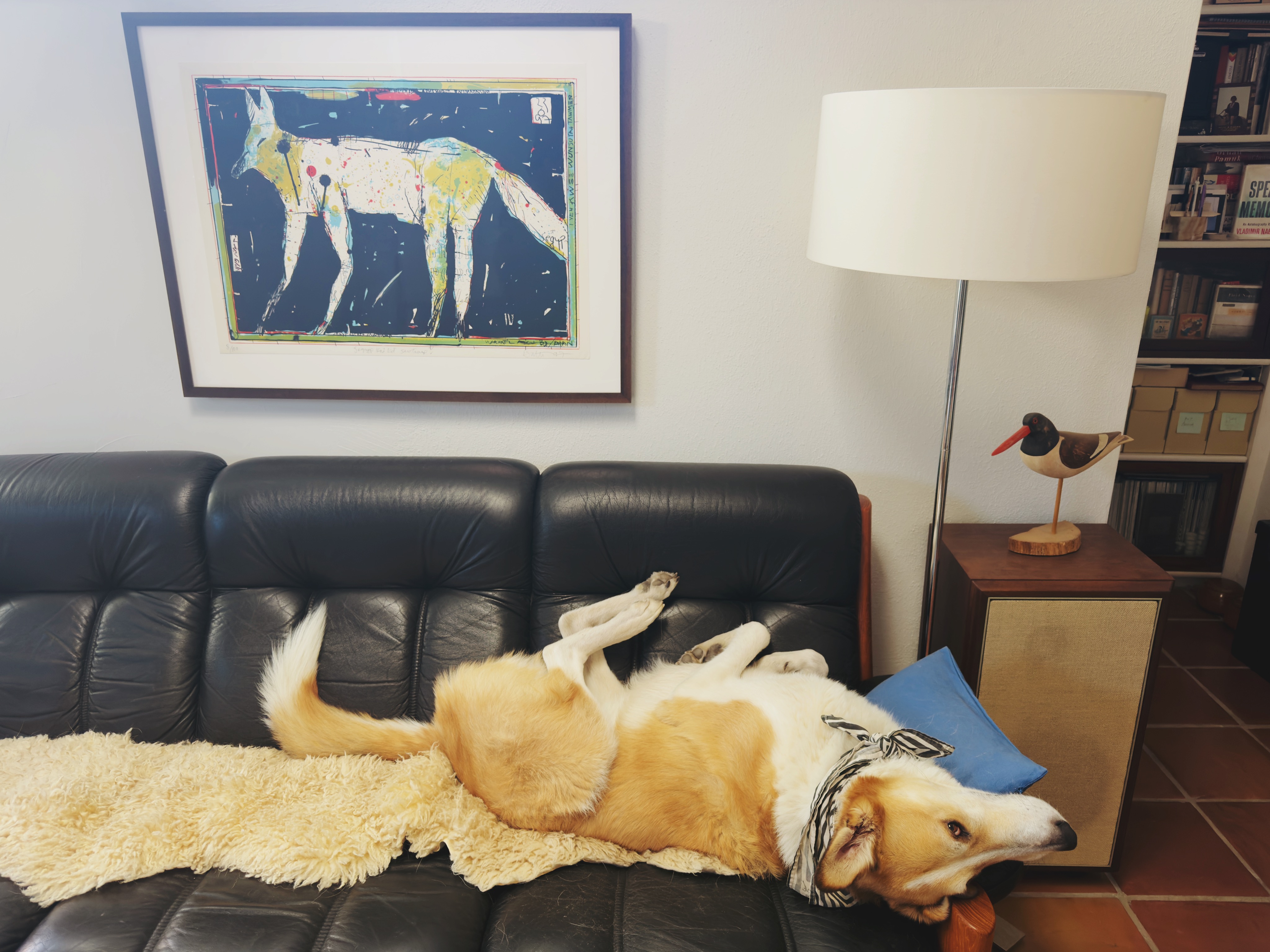 Lulu on the sofa under coyote art